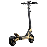 Honey Whale G2 Pro Electric Scooter 900W 54.6V 16Ah Battery