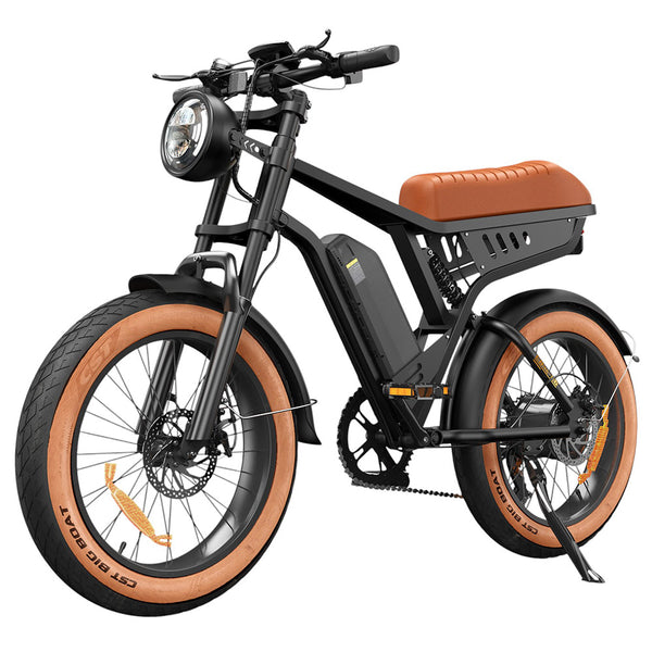 iSinwheel R6 Electric Bike 20" Fat Tires 250W Motor 48V 13Ah Battery