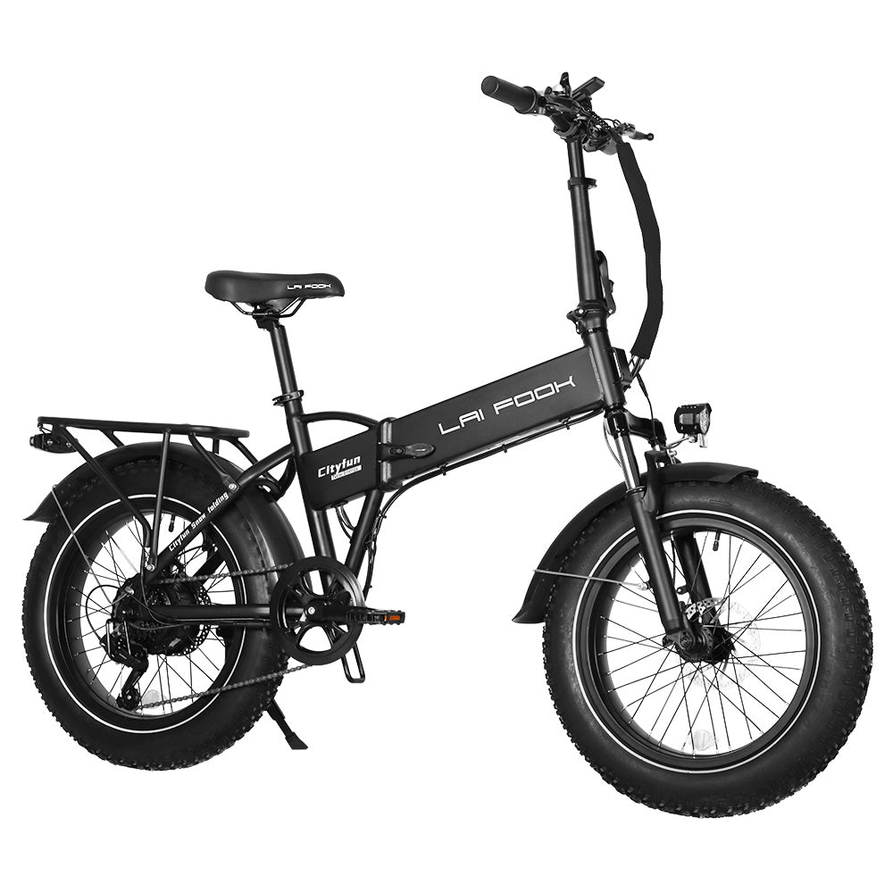 LAIFOOK Cityfun Electric Bike 20" Fat Tires 250W Motor 48V 14Ah Battery