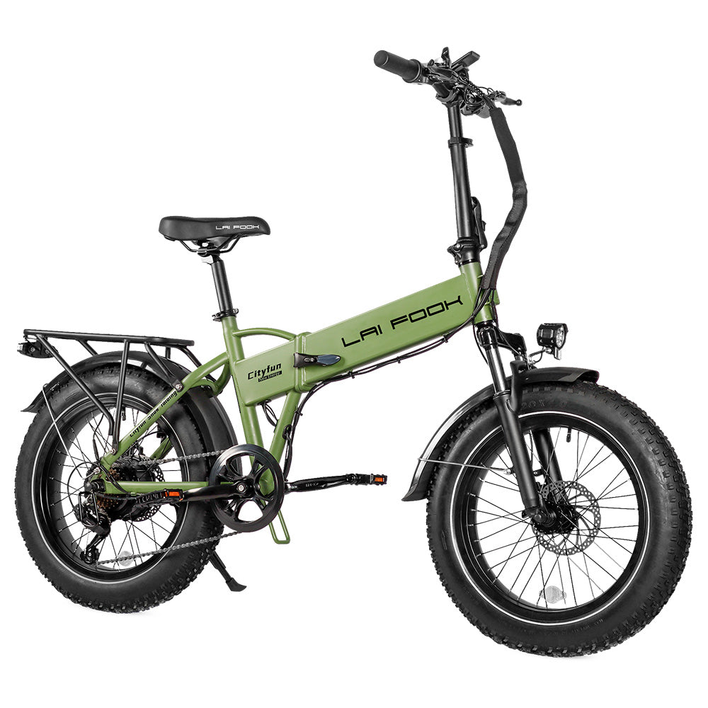 LAIFOOK Cityfun Electric Bike 20" Fat Tires 250W Motor 48V 14Ah Battery