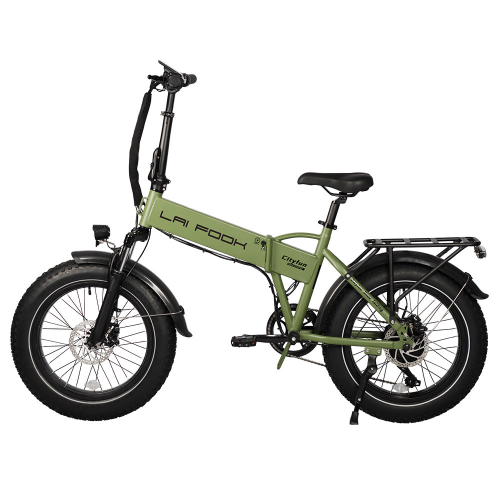 LAIFOOK Cityfun Electric Bike 20" Fat Tires 250W Motor 48V 14Ah Battery