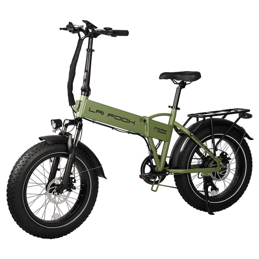 LAIFOOK Cityfun Electric Bike 20" Fat Tires 250W Motor 48V 14Ah Battery