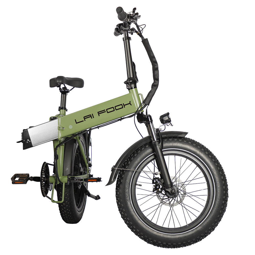 LAIFOOK Cityfun Electric Bike 20" Fat Tires 250W Motor 48V 14Ah Battery