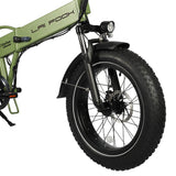 LAIFOOK Cityfun Electric Bike 20" Fat Tires 250W Motor 48V 14Ah Battery