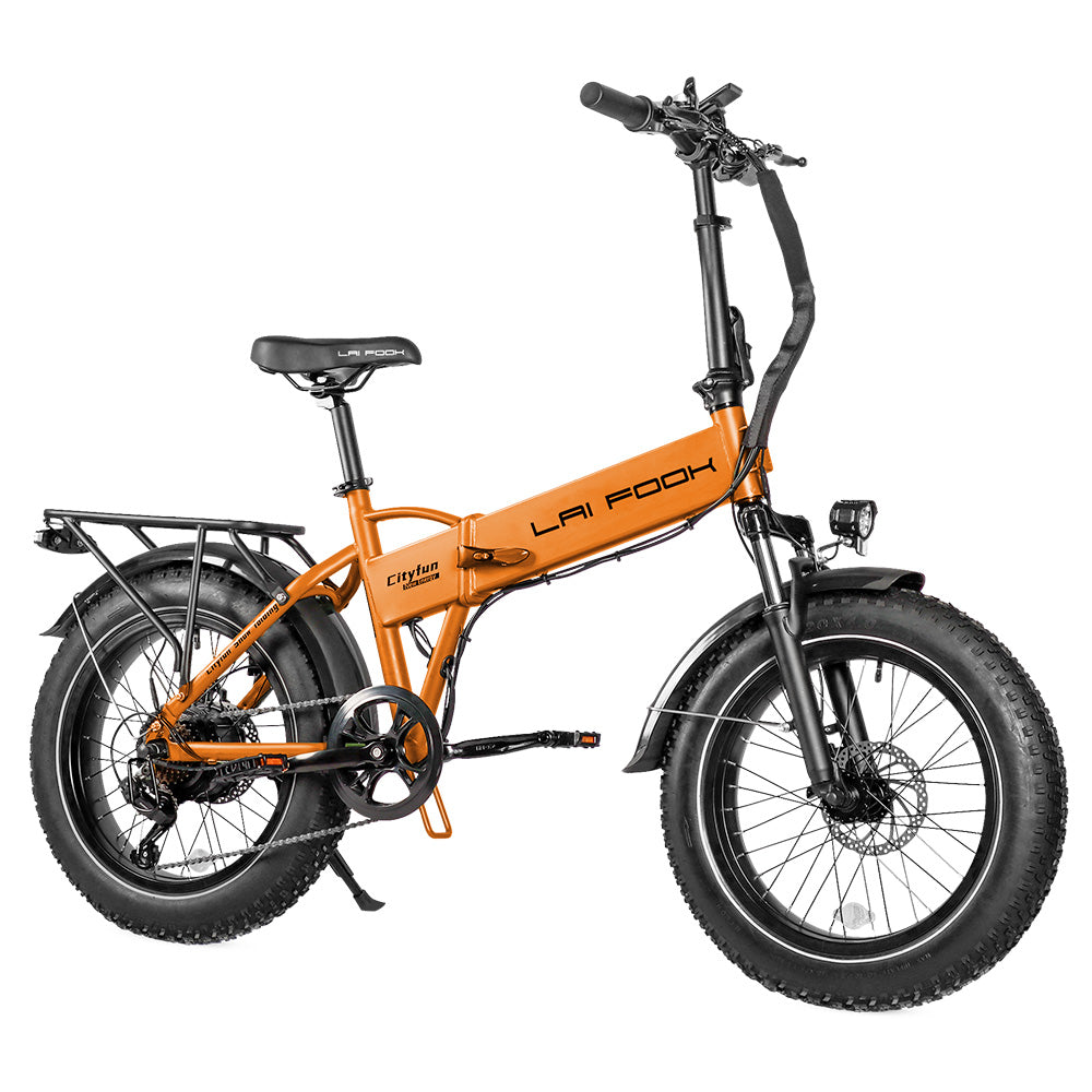 LAIFOOK Cityfun Electric Bike 20" Fat Tires 250W Motor 48V 14Ah Battery