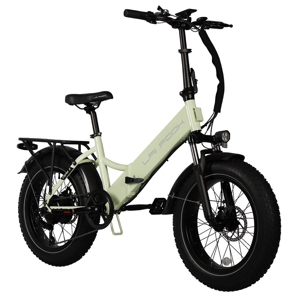 LAIFOOK Cityfun S Electric Bike 20" Fat Tires 250W Motor 48V 14Ah Battery