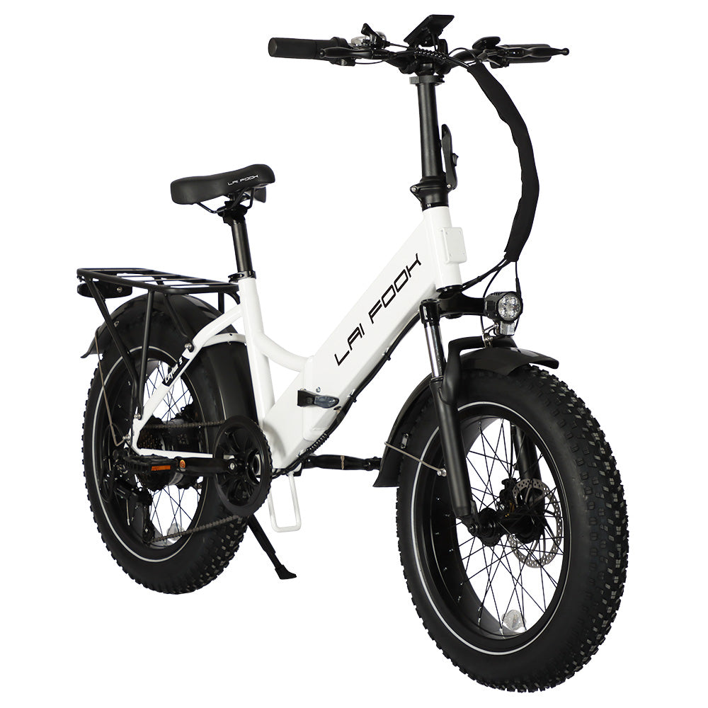 LAIFOOK Cityfun S Electric Bike 20" Fat Tires 250W Motor 48V 14Ah Battery