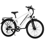 LAIFOOK Seeker Electric Bike 26" Tires 250W Motor 36V 9Ah Battery