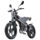 RANDRIDE DM711 Electric Dirt Bike 20" Off-Road Fat Tires Dual 1000W Motor