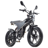 RANDRIDE DM711 Electric Dirt Bike 20" Off-Road Fat Tires Dual 1000W Motor