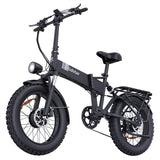 Ridstar H20 Pro Electric Bike 20" Fat Tires Dual 1000W Motors 48V 23Ah Battery