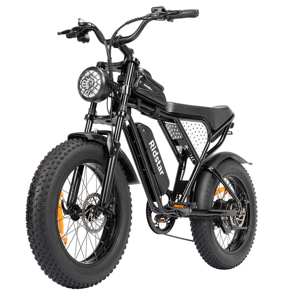 Ridstar Q20 Mini Electric Bike 20" Tires 1000W Motor 48V 15Ah Battery