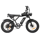 Ridstar Q20 Mini Electric Bike 20" Tires 1000W Motor 48V 15Ah Battery