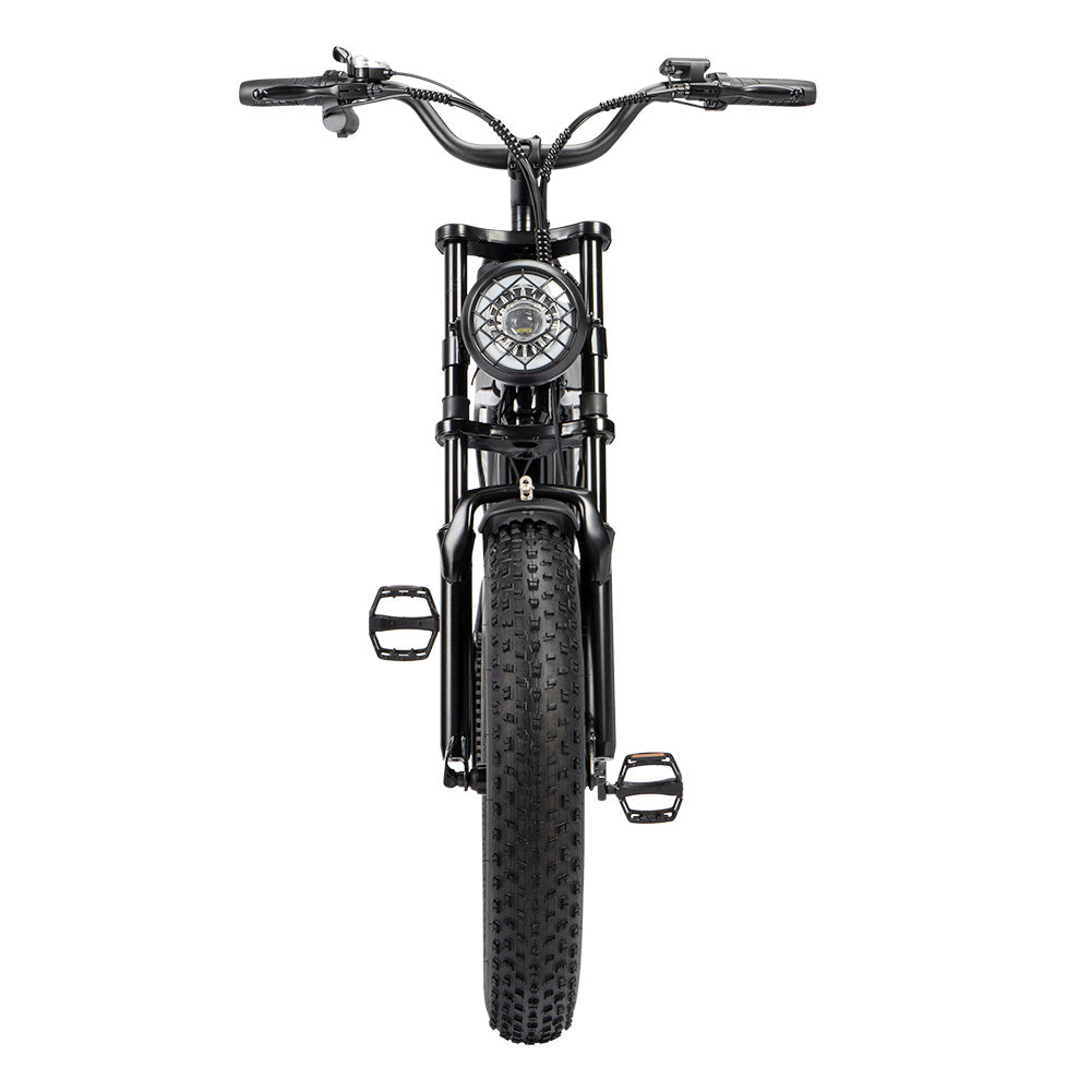 Ridstar Q20 Mini Electric Bike 20" Tires 1000W Motor 48V 15Ah Battery